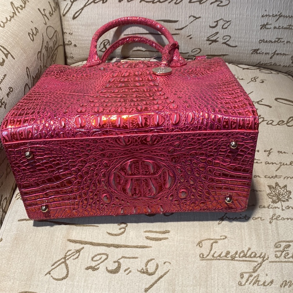 Brahmin - Picture 15 of 15